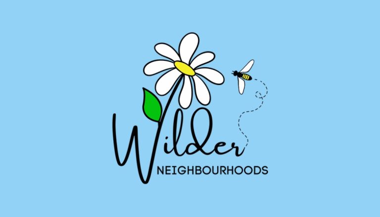 KD Thumbnails 768x439